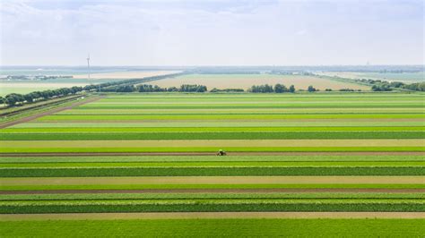 strip crop